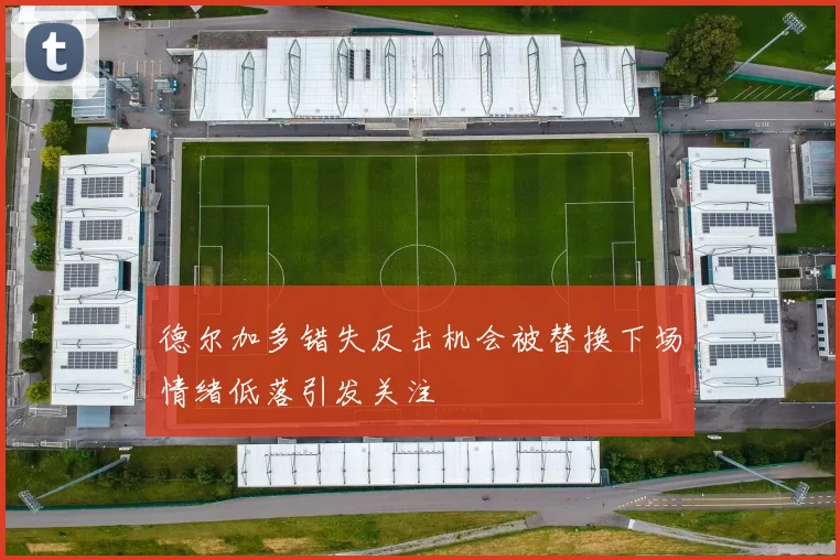 德尔加多错失反击机会被替换下场情绪低落引发关注